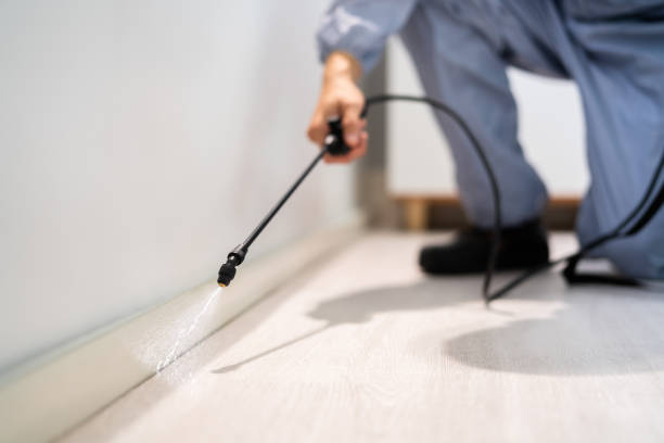 Licensed Pest Control service in Belmont Estates, VA - Show Me Pest Control